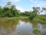 Estudio Ambiental Plan Parcial Hacienda Rosablanca