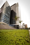 Paisajismo  Centro Empresarial Paralelo 108