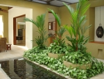 Diseño de paisajismo Casa Anapoima
